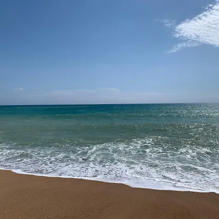 Didou * Valras-Plage